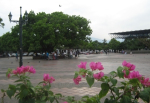 El Palo de mango en la plaza Alfonso López